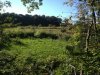 IMG_0429.jpg