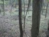 hunting2.jpg
