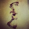 Bow picture 1.jpg