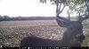lake 025.jpg