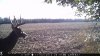 lake 031.jpg