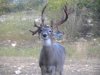 whitetail_jim_pictures_071.jpg