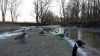 20150215_082606.jpg