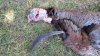 2015 archery3.jpg