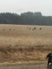 IMG_0624.jpg