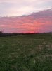 20150416_063105.jpg
