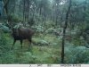SAMBAR.jpg