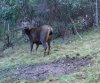 sambar.jpg