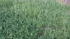20150515_192837.jpg