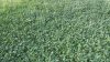20150515_192843.jpg