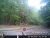 HUNT0014.jpg