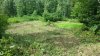 20150713_162116.jpg