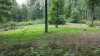 20150713_162541.jpg