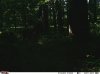 uploadfromtaptalk1437278814525.jpg
