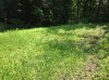 IMG_1776.jpg