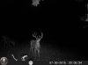 HUNT0291.jpg