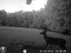HUNT0274.jpg