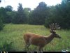 I_00065b.jpg