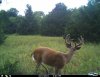 I_00065a.jpg