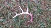 IMG_20141227_093643579.jpg