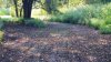 20150822_174606.jpg
