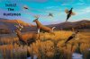 leo-stans-original-oil-painting-grand-finale-whitetail-deer-1.jpg