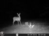 HUNT0078.jpg
