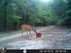 HUNT0167.jpg