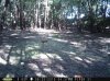 taft woods 017.jpg