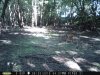 taft woods 015.jpg