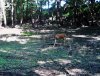 taft woods 014.jpg