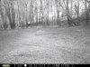 taft woods 8-30-15 007.jpg