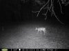 taft woods 8-30-15 004.jpg