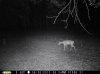 taft woods 8-30-15 001.jpg