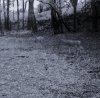 taft woods 8-30-15 008.jpg