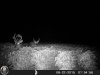 HUNT0013.jpg