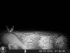 HUNT0016.jpg