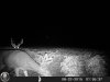 HUNT0017.jpg