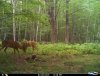 I__00119.jpg