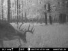MDGC0035.jpg