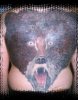 bear-back[1].jpg