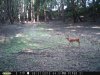 taft woods 9-5-15 009.jpg