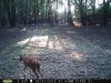 taft woods 9-5-15 017.jpg