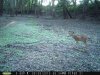 taft woods 9-12-15 040.jpg