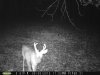 taft woods 9-12-15 031.jpg
