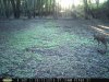 Taft Woods 9-19-2015 006.jpg