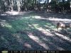 Taft Woods 9-19-2015 009.jpg