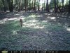 Taft Woods 9-19-2015 027.jpg