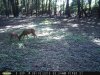 Taft Woods 9-19-2015 029.jpg