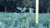 20150919_185324.jpg
